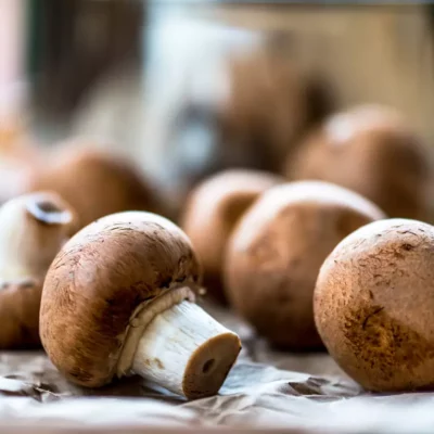 Crimini mushroom