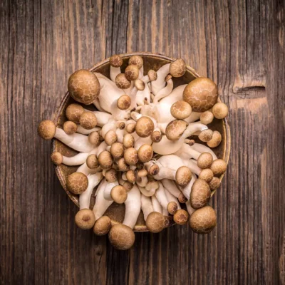 Shimeji Mushroom