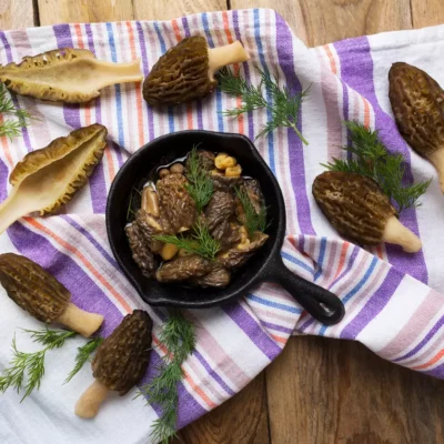 Morel Mushroom