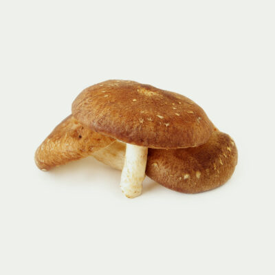Mixed Shiitake
