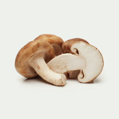 Brown Champignon