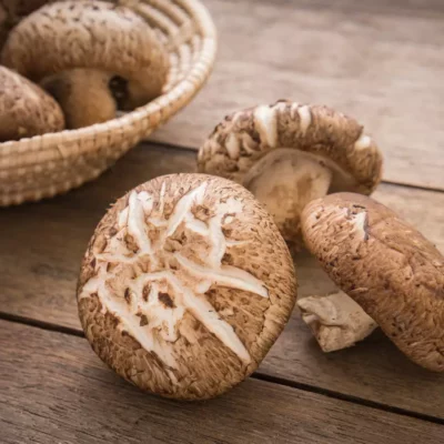 Shiitake mushroom