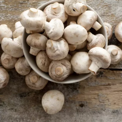 White button mushroom